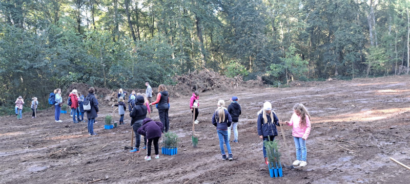 wald5.jpg